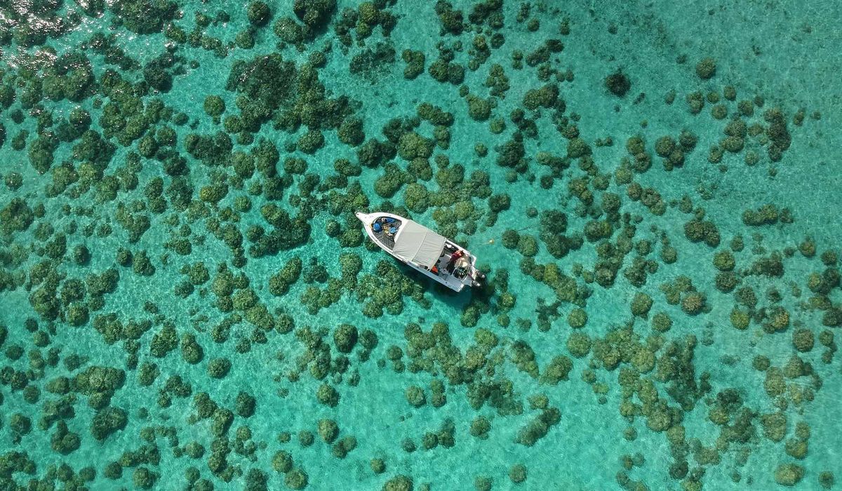 Île aux Cerfs