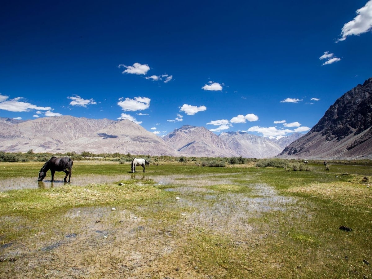 Ladakh Tour