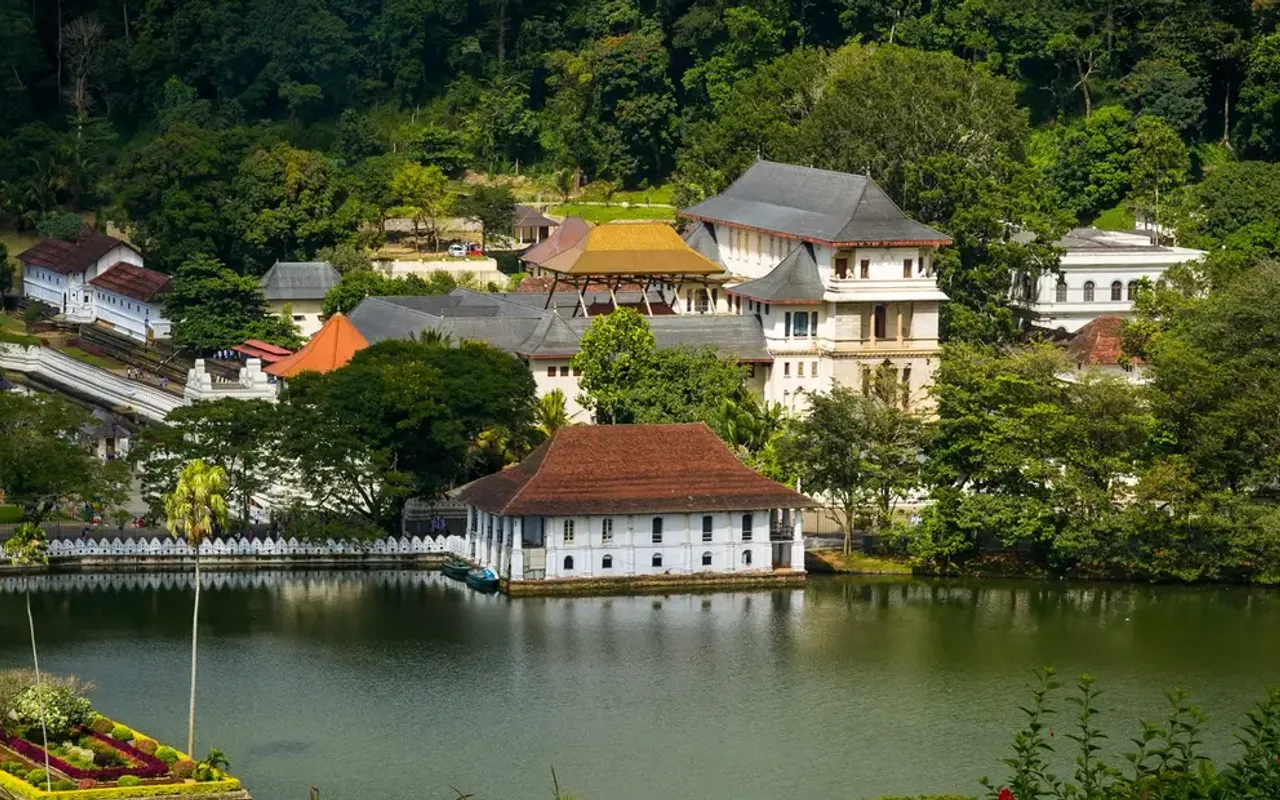 main photo