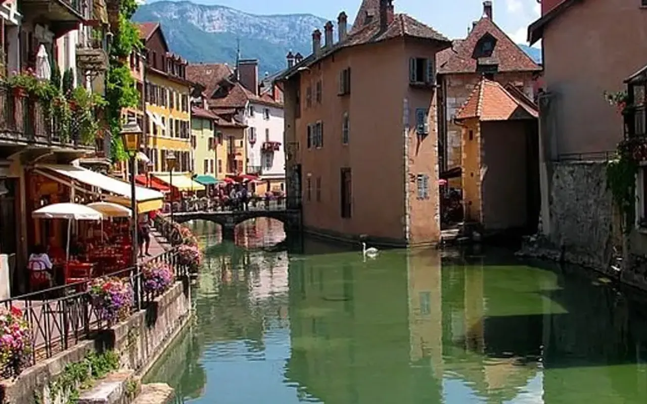 main photo