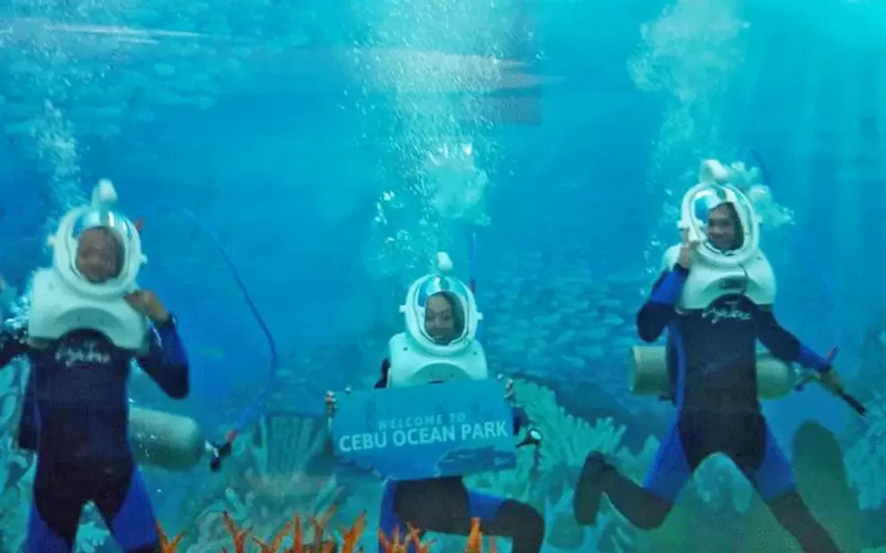 Cebu Ocean Park Ticket — photo 5