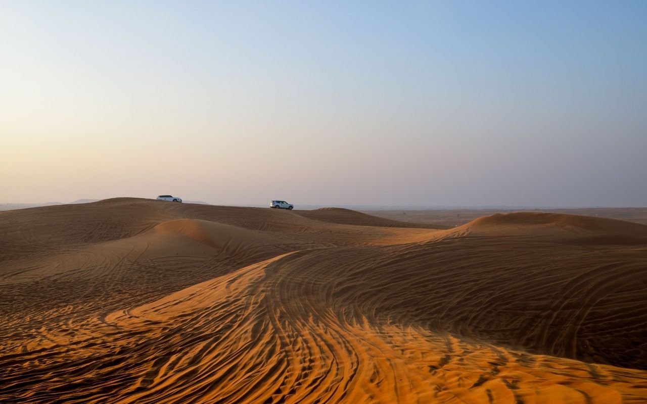 Morning Desert Safari — photo 2