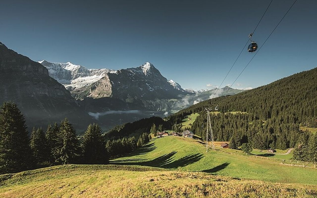 Grindelwald First - Top of Adventure — photo 3