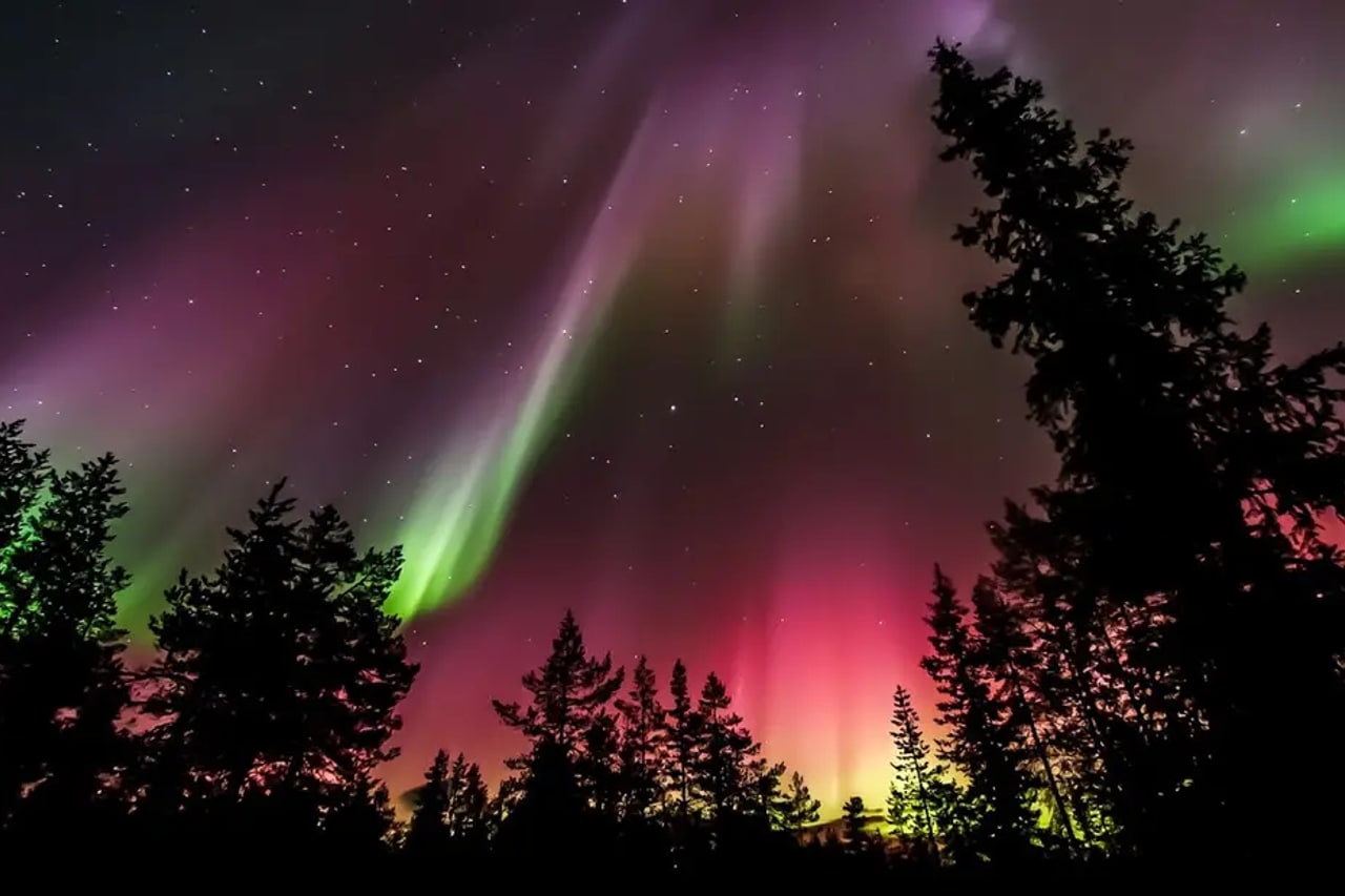 The northern lights over a forest in Finland