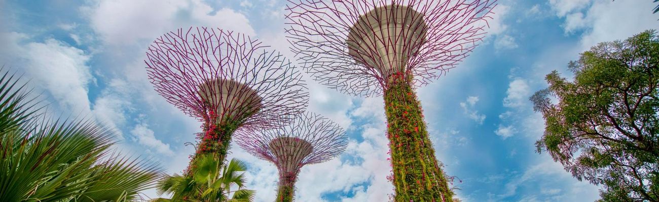 Singapore: A Futuristic City with Timeless Charm