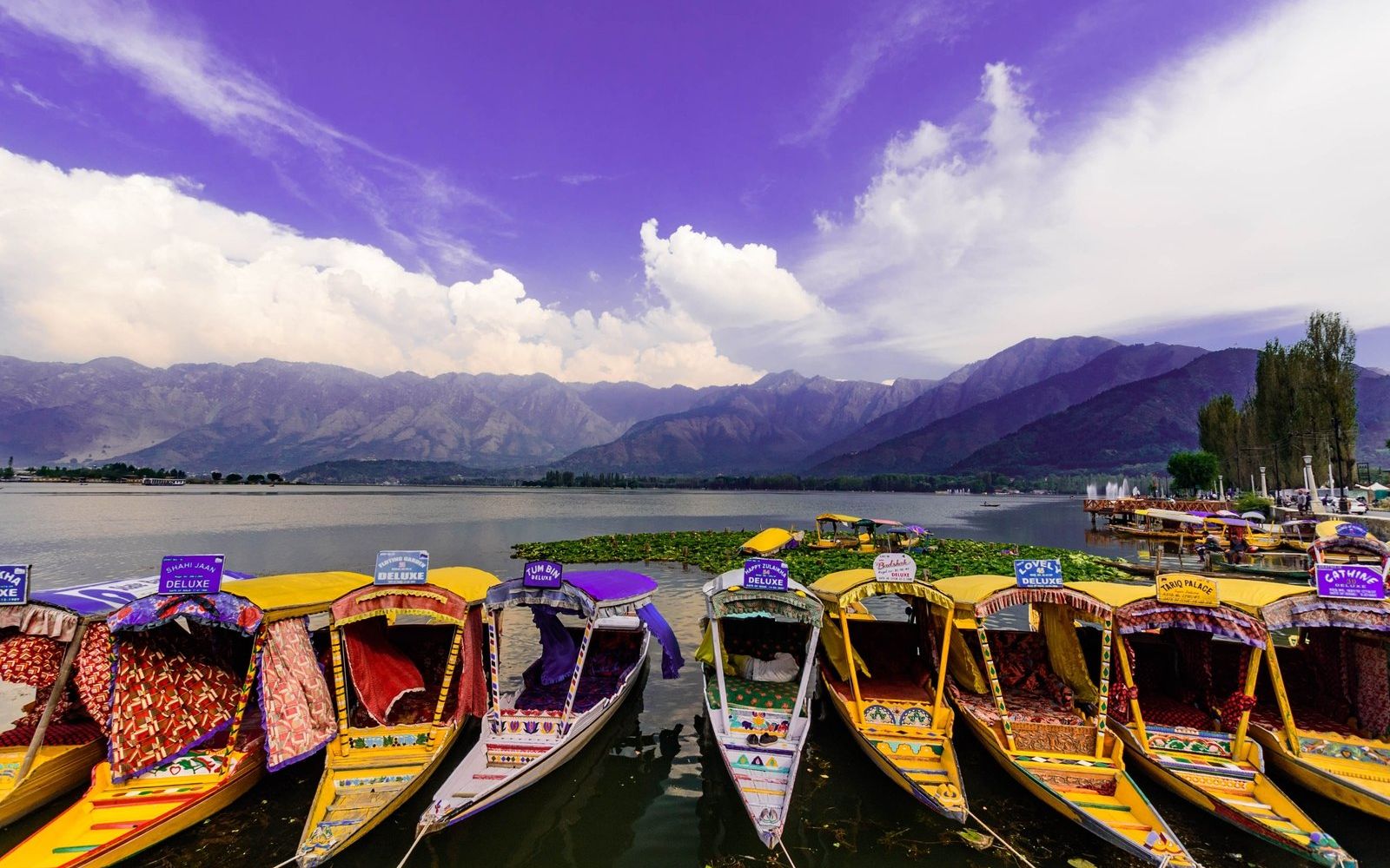 7 Days Kashmir Tour