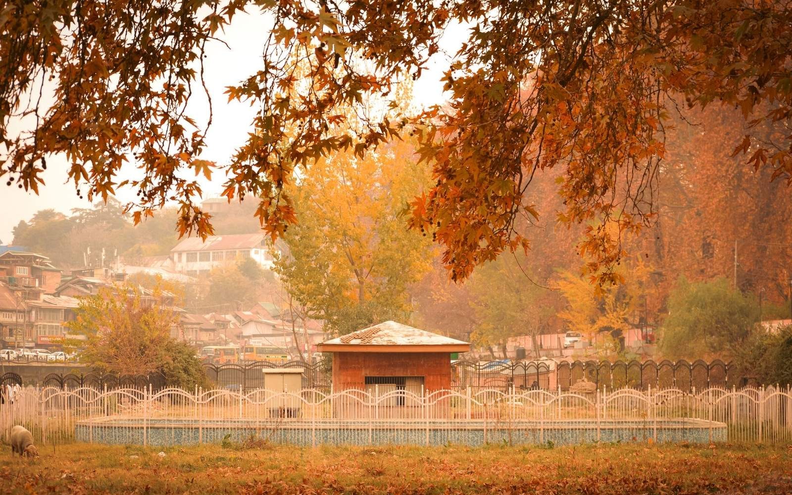 11 Days Great Lake Trek of Kashmir