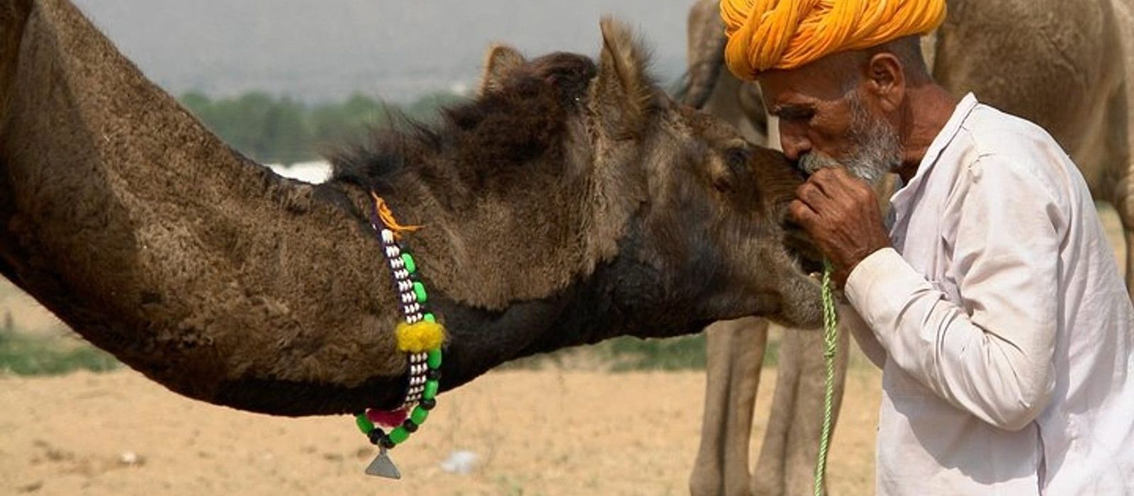 India Cultural Tours
