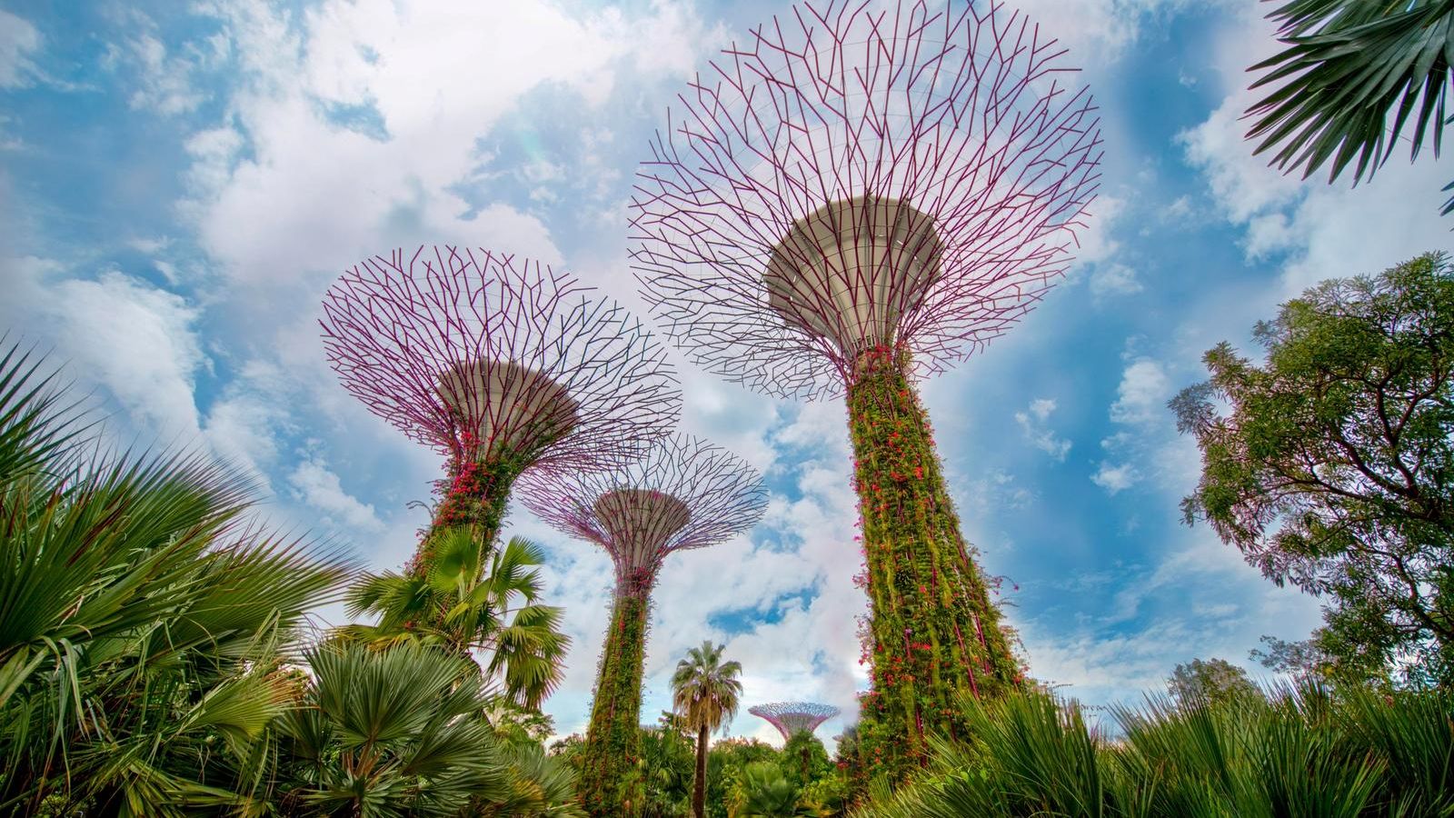 Singapore: A Futuristic City with Timeless Charm