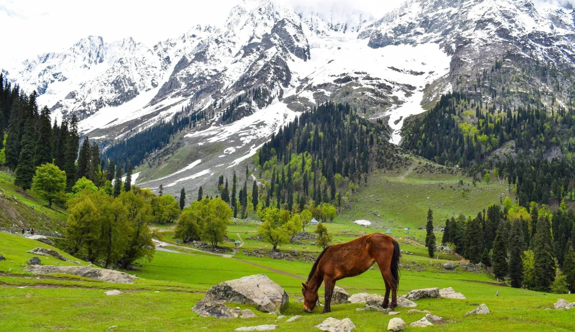 Kashmir