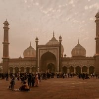 India and Tigers Tour