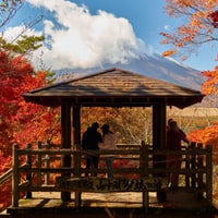 Japan Autumn Golden Route
