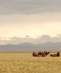 Mongolia