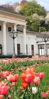 Black Forest and Baden-Baden Day Trip from Frankfurt