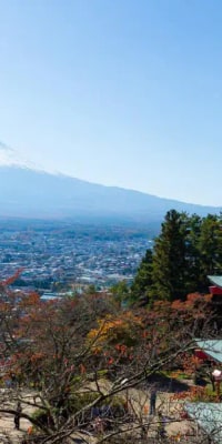 Mount Koya Day Tour from Kyoto