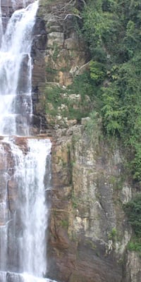 Nuwara Eliya in 2 Tagen und World's-End-Wanderung ab Colombo