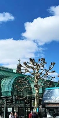 Hamburg Hop-On Hop-Off Sightseeing Bus Tour