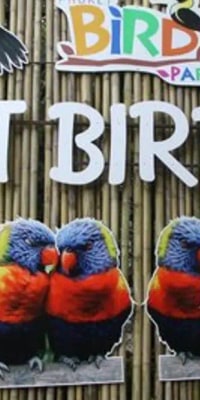 Phuket Bird Park Ticket