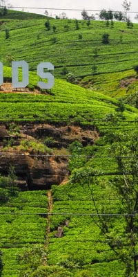 Nuwara Eliya — Zweitagestour ab Colombo