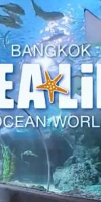 SEA LIFE Bangkok Ocean World Ticket