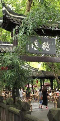 Chengdu People's Park Private Half Day Tour
