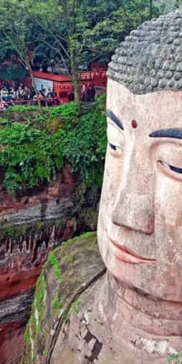 Giant Buddha and Tea Terrace Town Day Tour from Chengdu