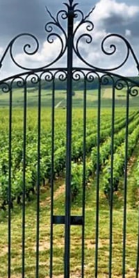 Saint Emilion Half-Day Trip with Wine Tasting & Winery Visit from Bordeaux