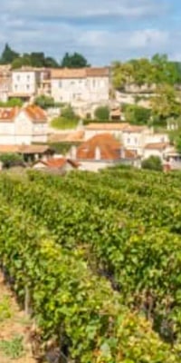 Medoc or St-Emilion Small-Group Wine Tasting and Chateaux Tour from Bordeaux