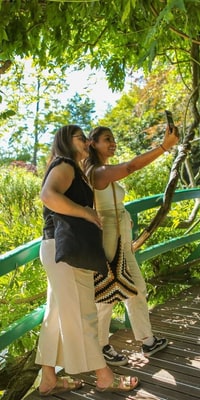 Day Trip to Monet's Gardens in Giverny & Versailles: Guided Tour with Lunch & Transport