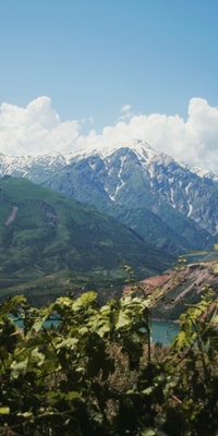 Excursión a la estación de montaña de Amirsoy desde Taskent