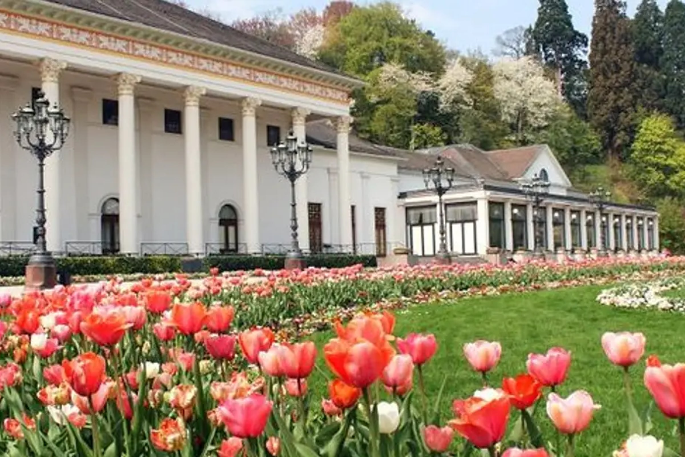 Black Forest and Baden-Baden Day Trip from Frankfurt