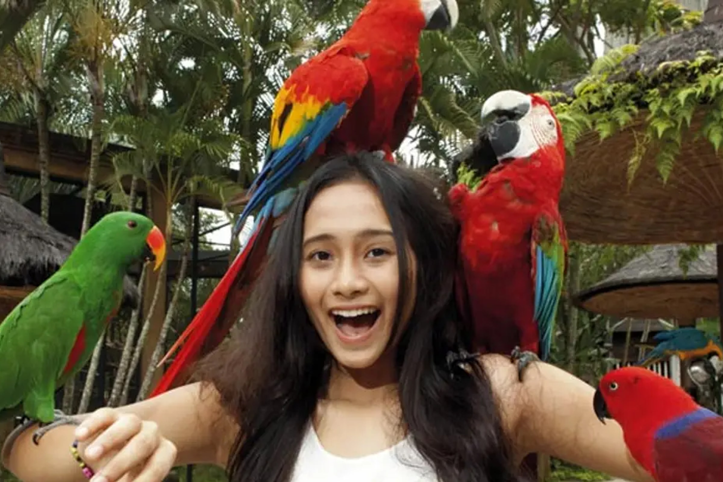 Bali Bird Park Ticket