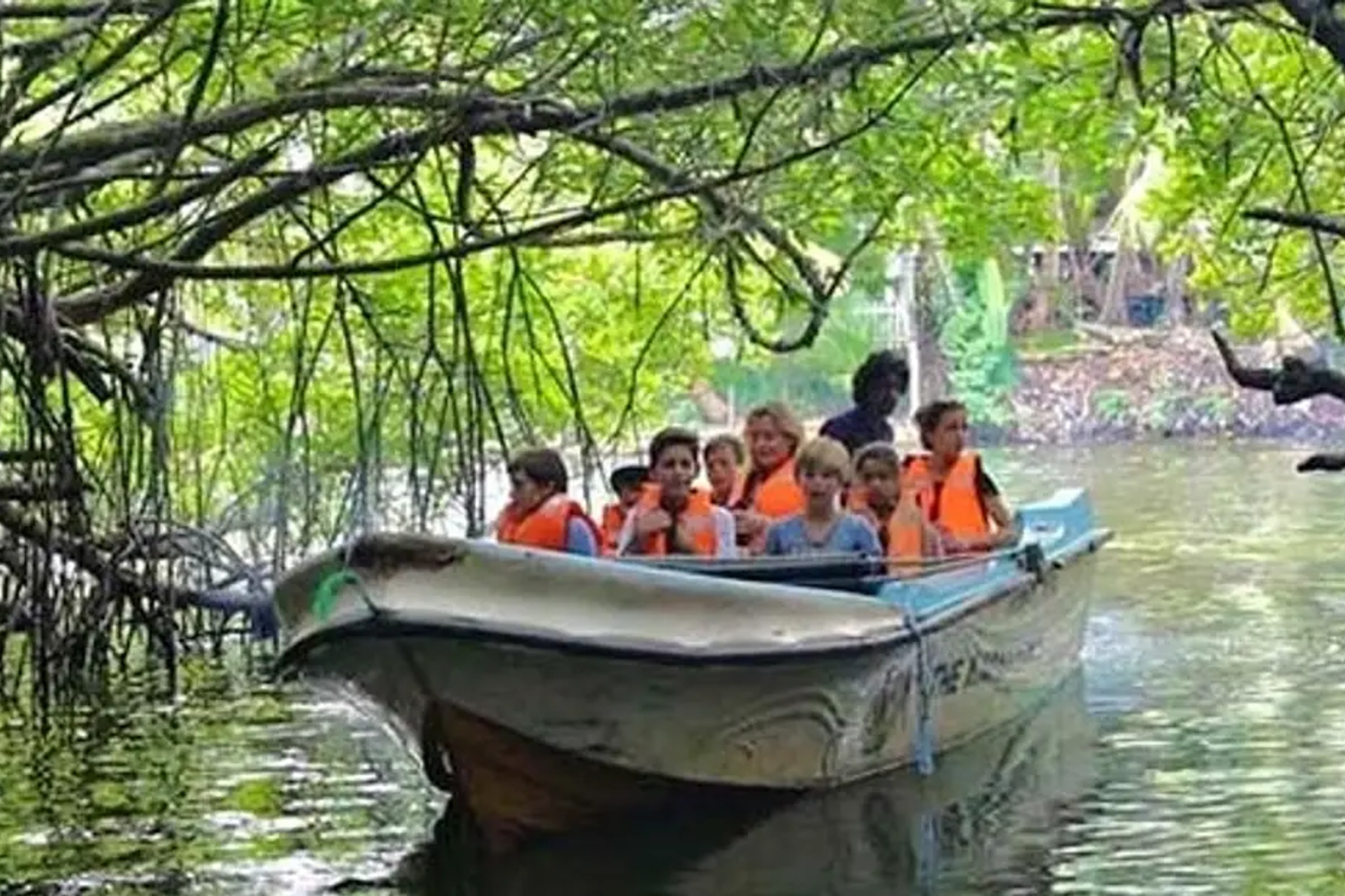 Balapitiya River Safari and Nature Tour from Colombo