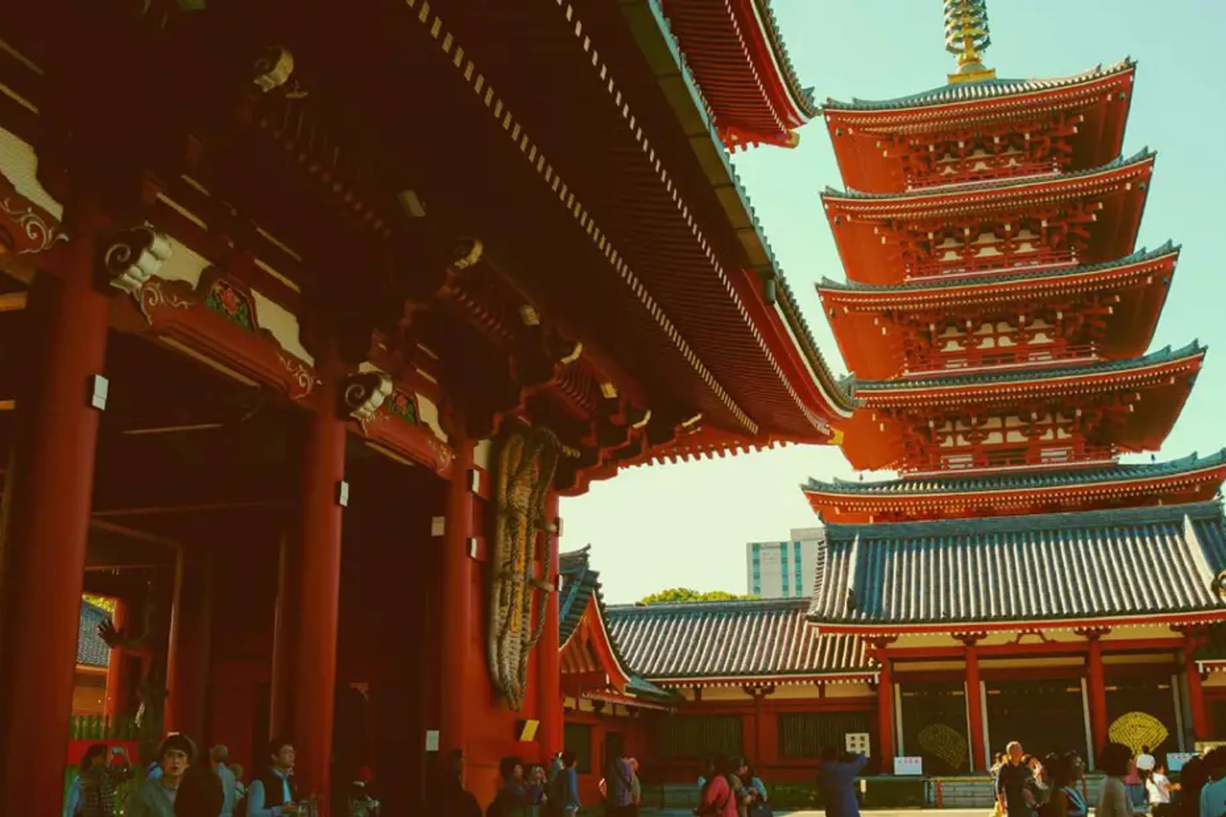 Tokyo Private 8 Hours Tour