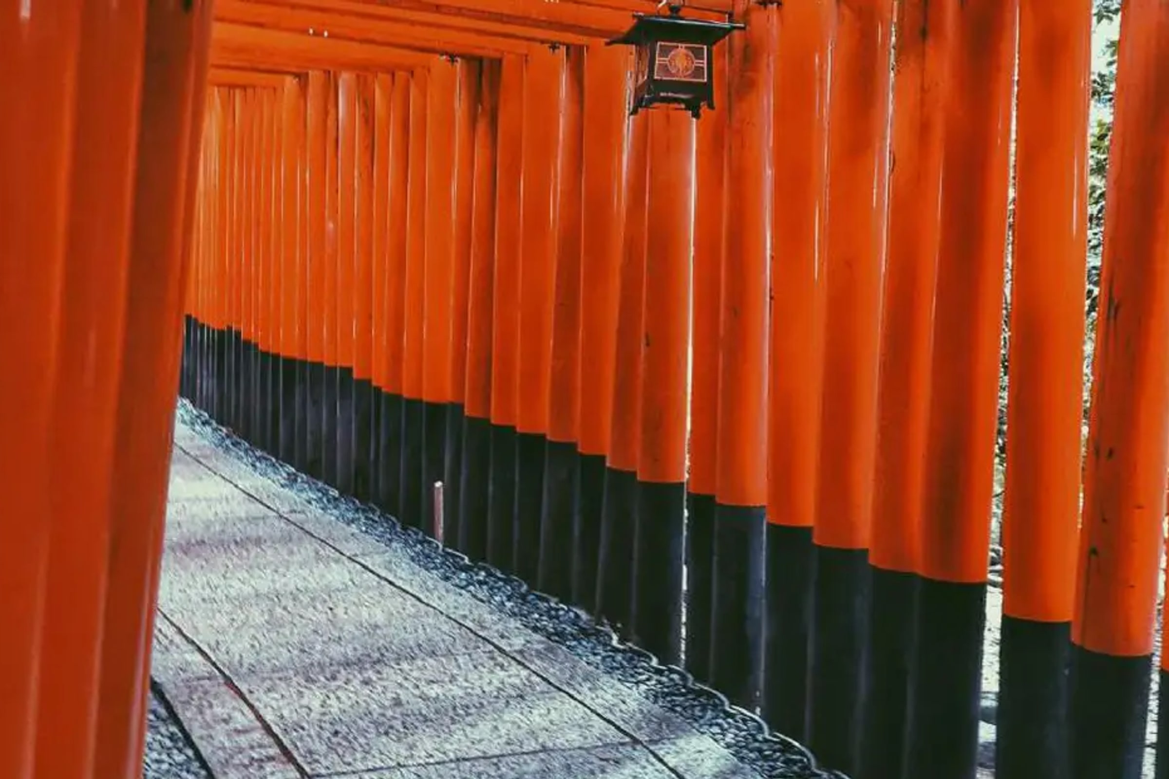 Fushimi Inari Shrine Walking Tour