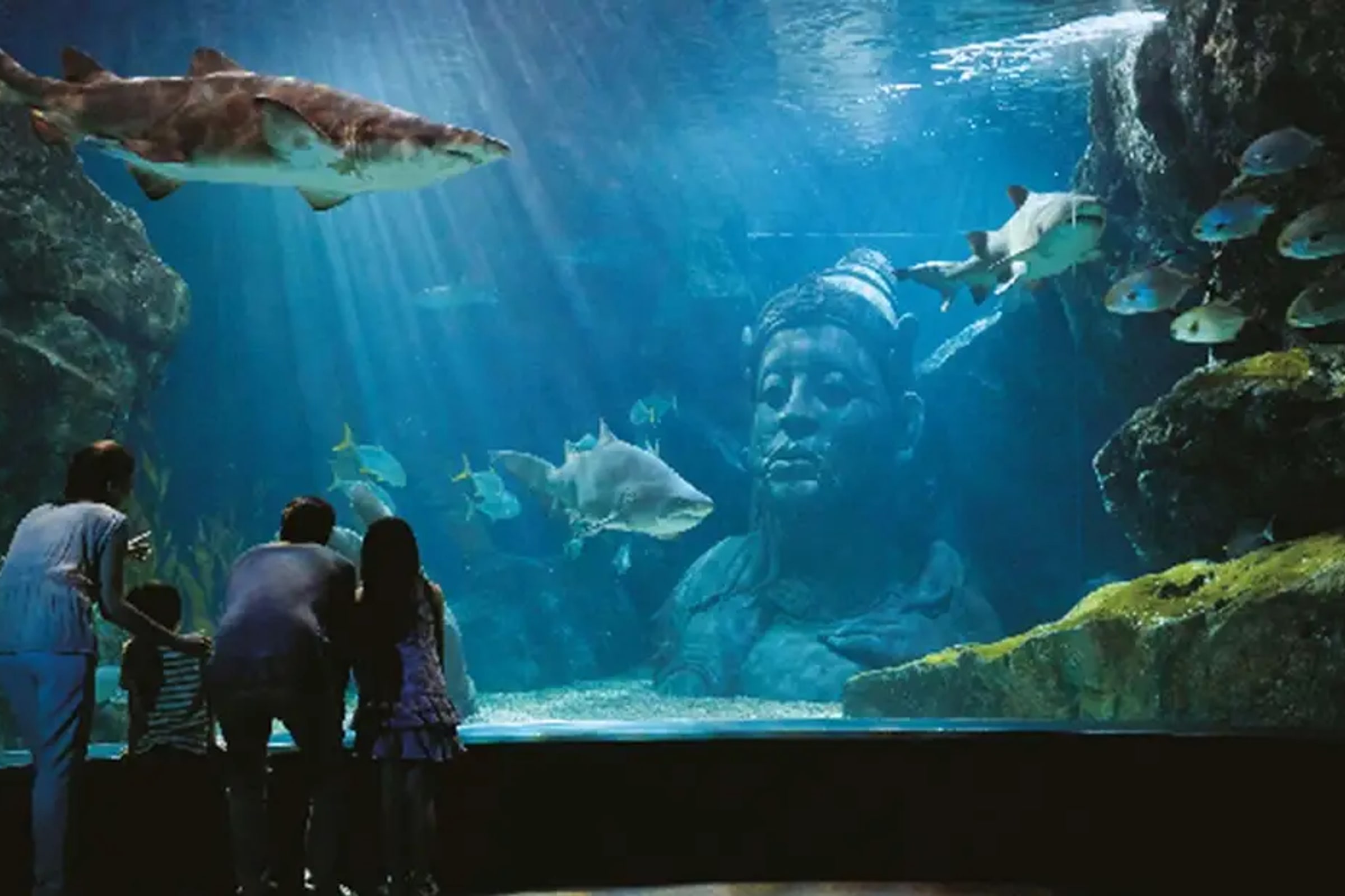SEA LIFE Bangkok Ocean World Ticket