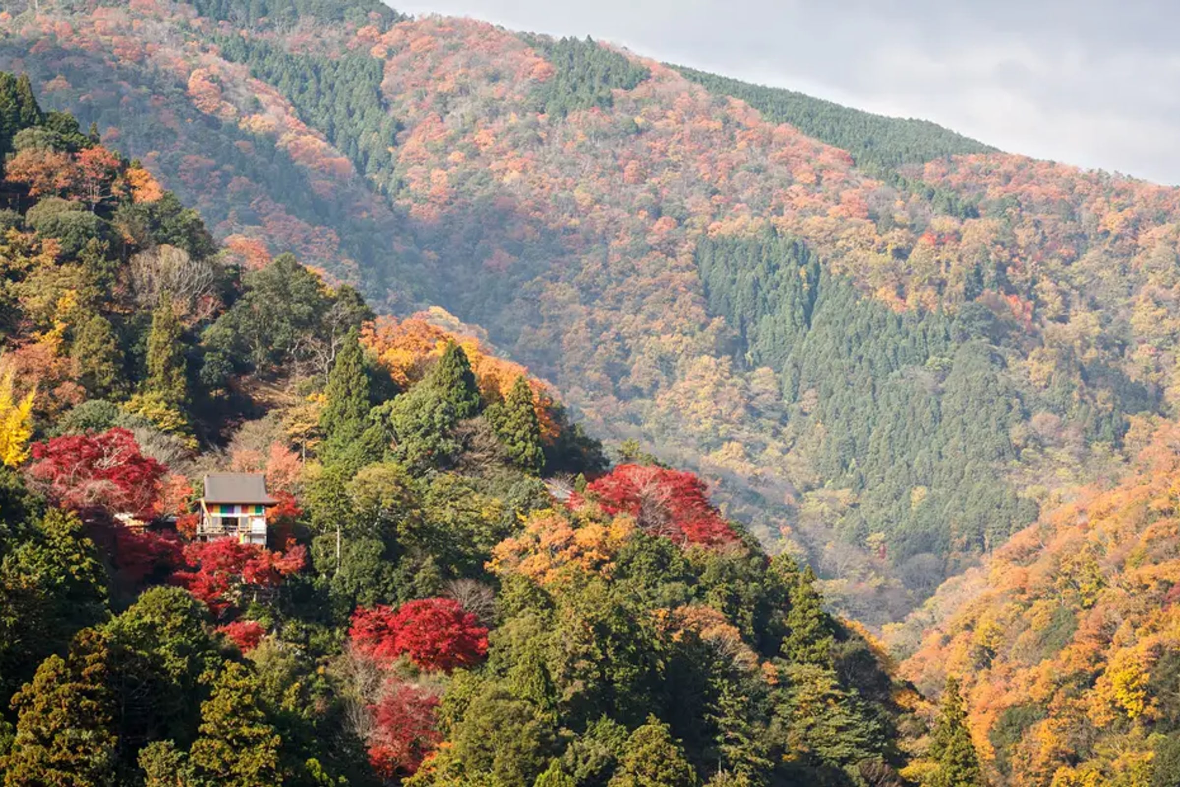Kyoto Small-group Minivan Tour