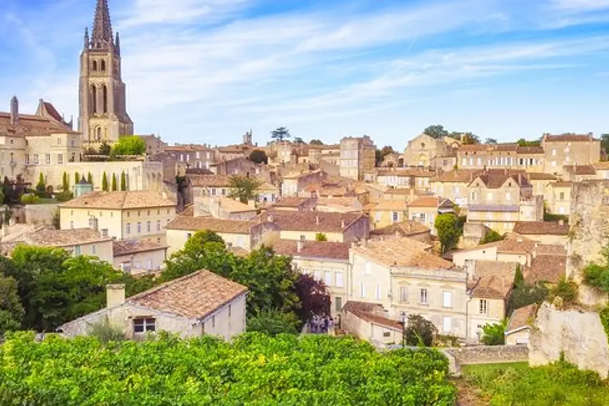 Medoc or St-Emilion Small-Group Wine Tasting and Chateaux Tour from Bordeaux