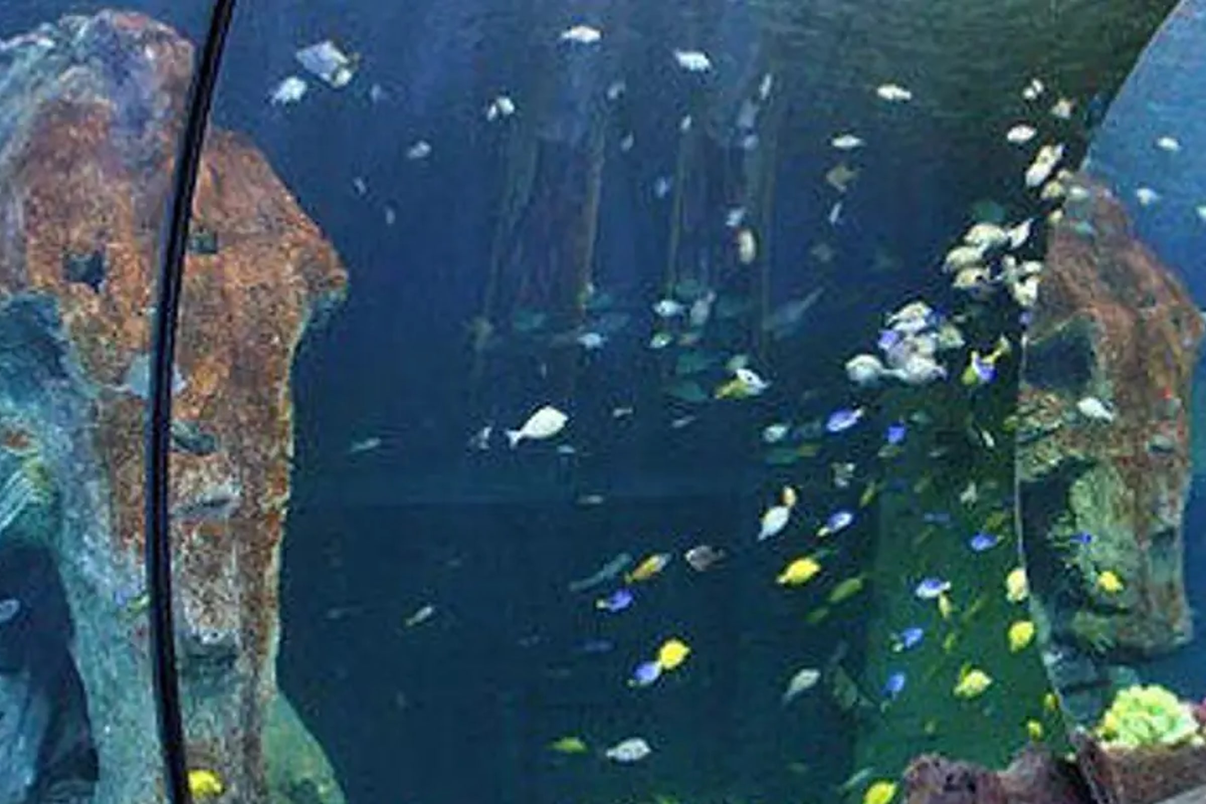 SEA LIFE Munich