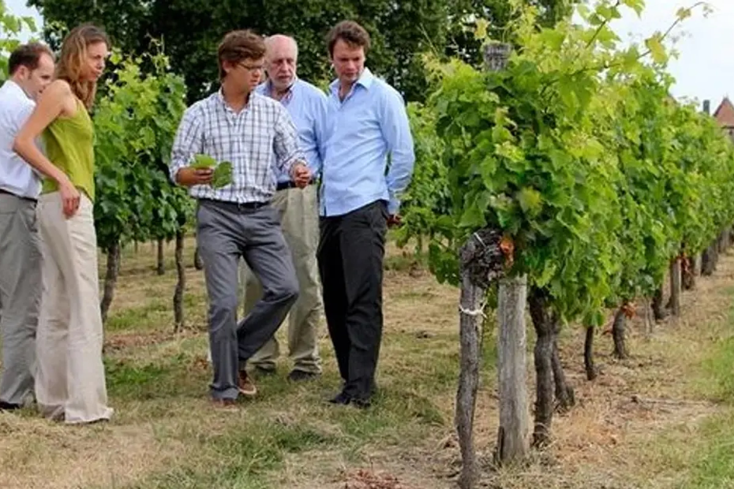 Medoc or St-Emilion Small-Group Wine Tasting and Chateaux Tour from Bordeaux
