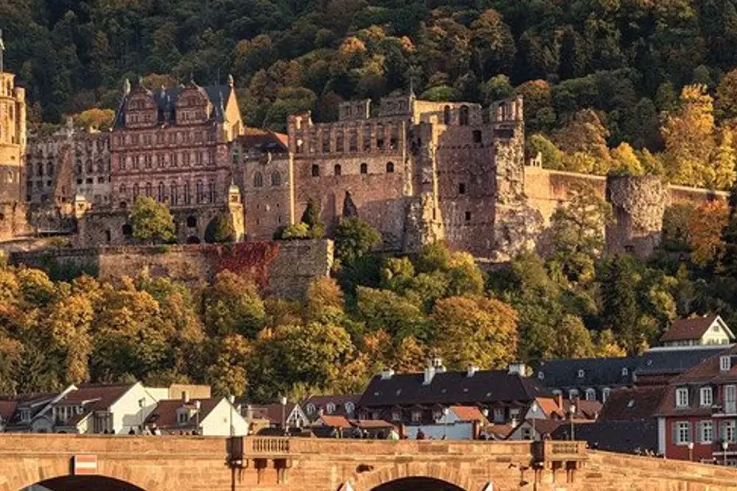 Heidelberg and Nuremberg Tour from Frankfurt