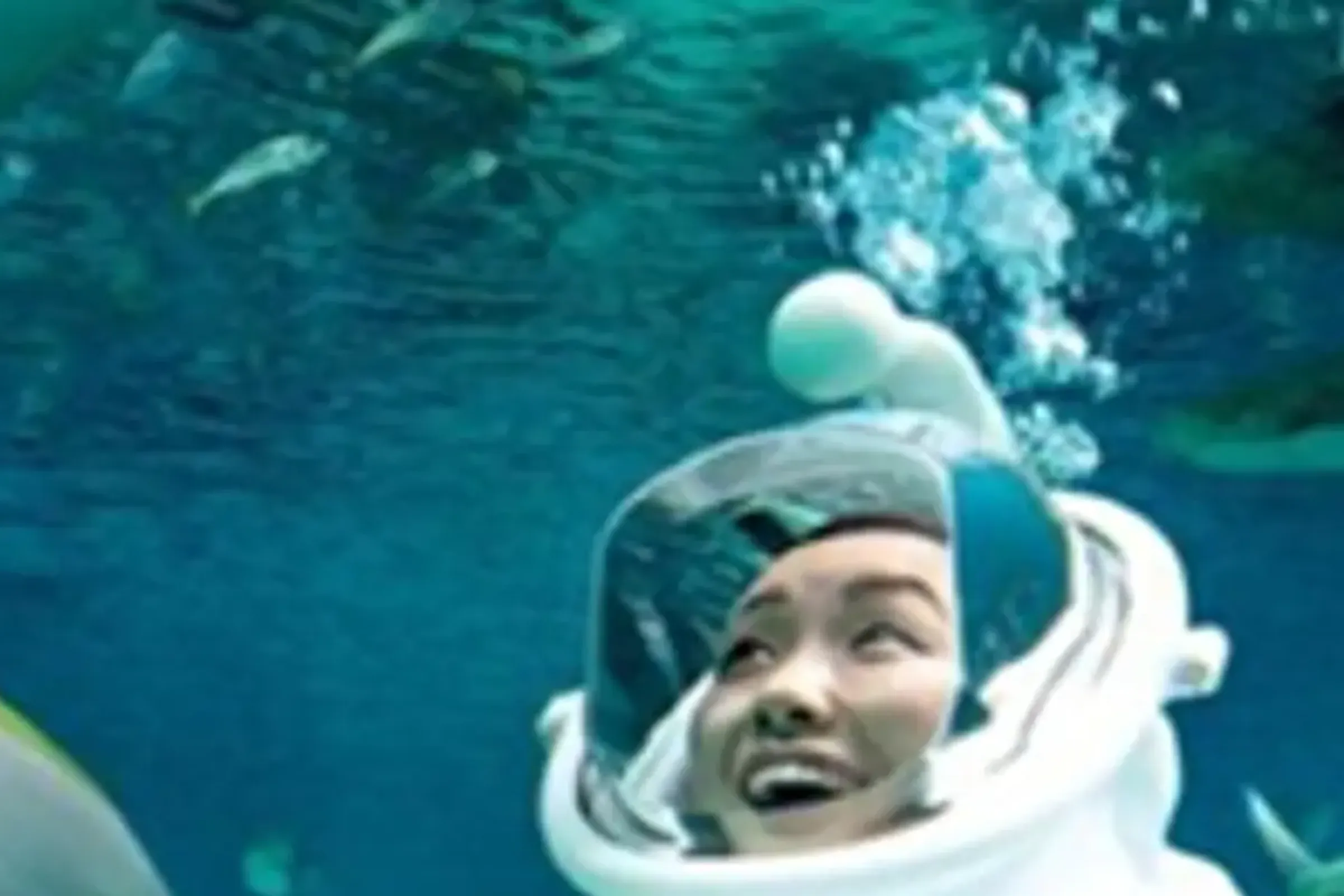 Cebu Ocean Park Ticket — photo 4