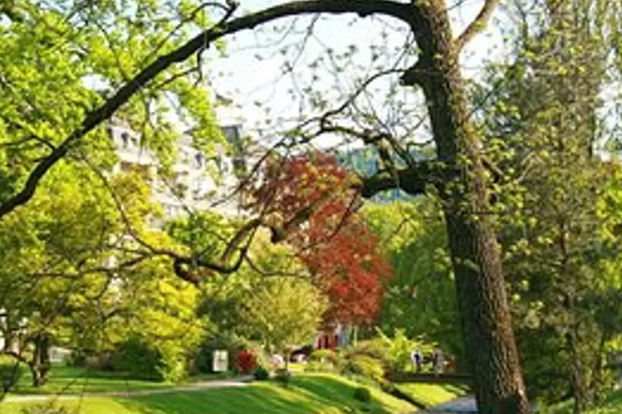 Black Forest and Baden-Baden Day Trip from Frankfurt