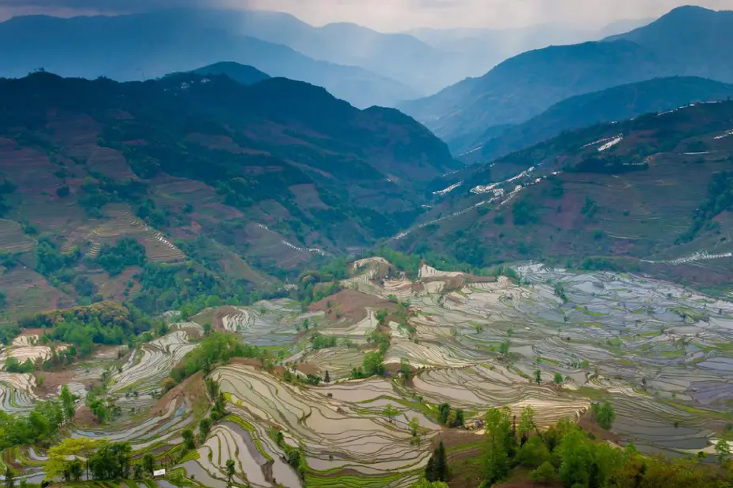 Longji Rice Terrace Fields & Minority Villages Private Day Tour