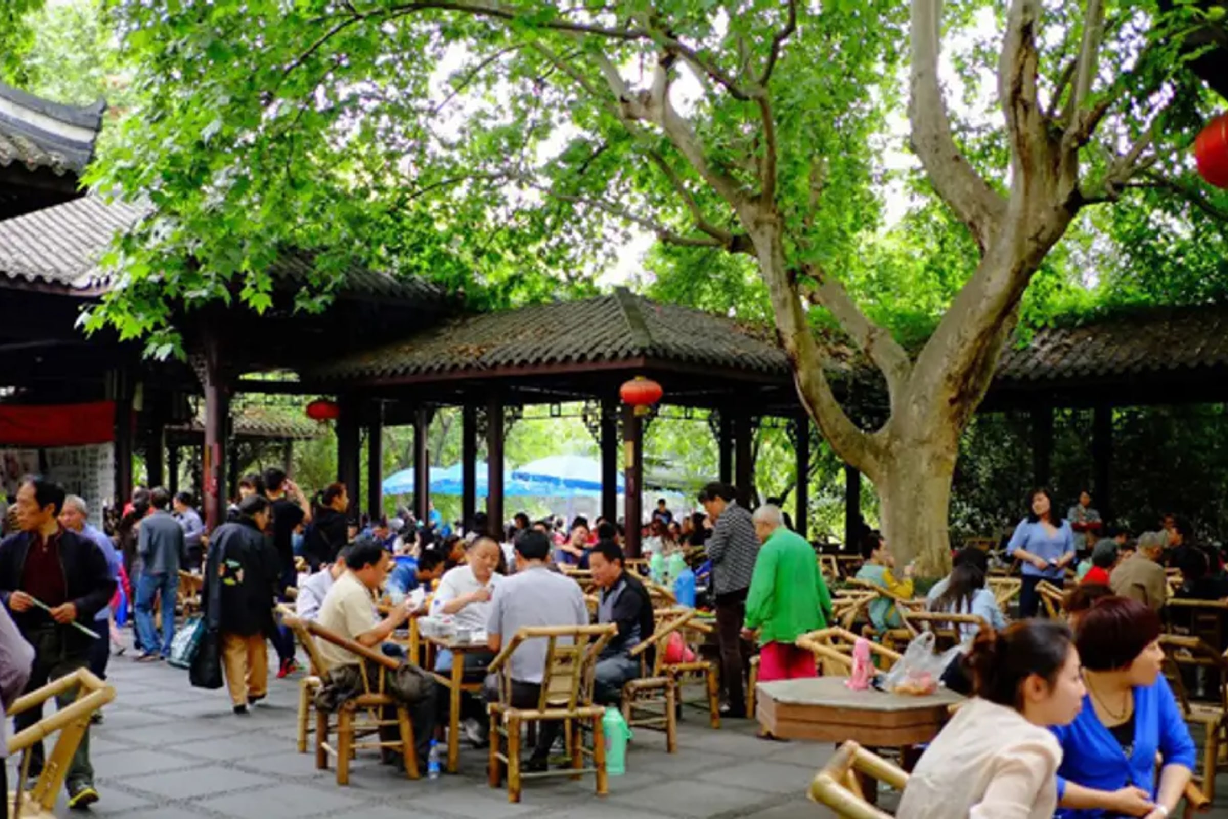 Chengdu People's Park Private Half Day Tour