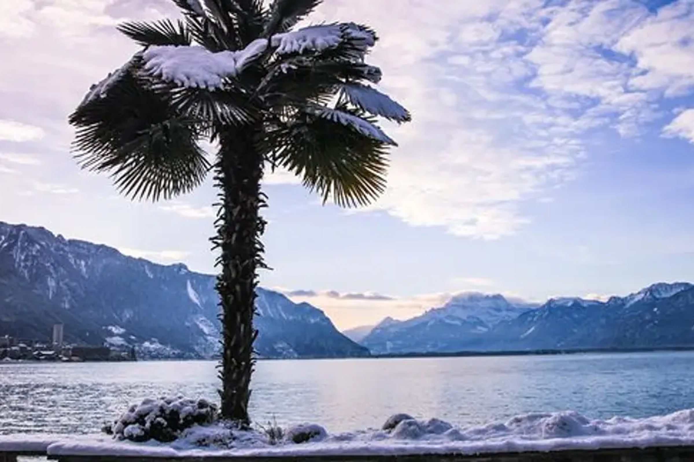 Winter Riviera , Montreux, Château de Chillon, and Chaplin's World from Geneva