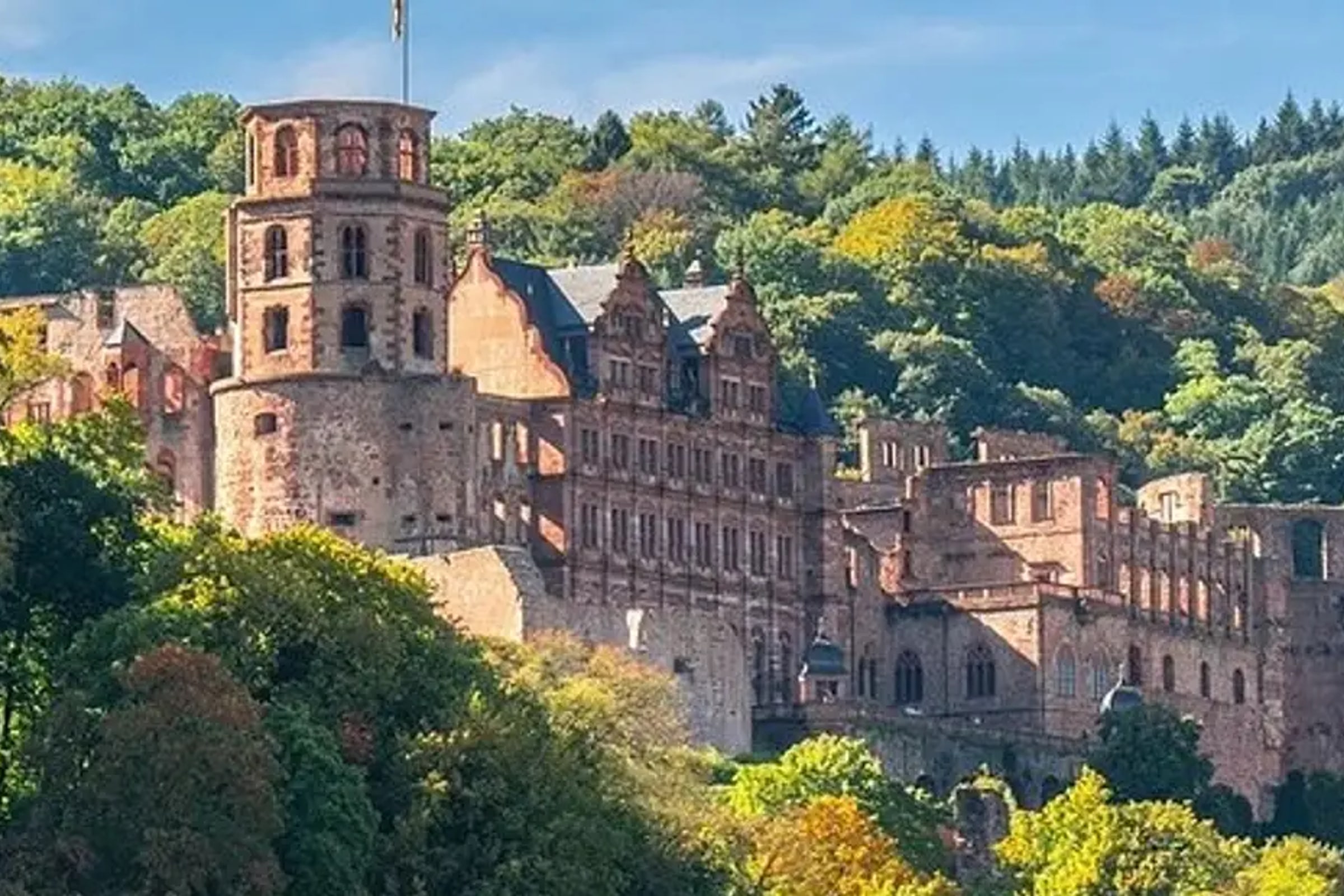 Heidelberg Half-Day Trip from Frankfurt