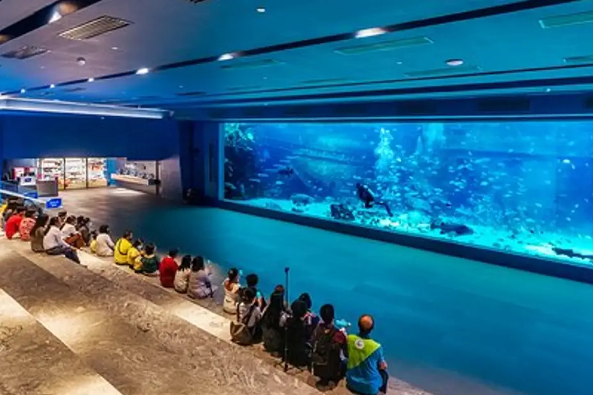 Cebu Ocean Park Ticket — photo 2