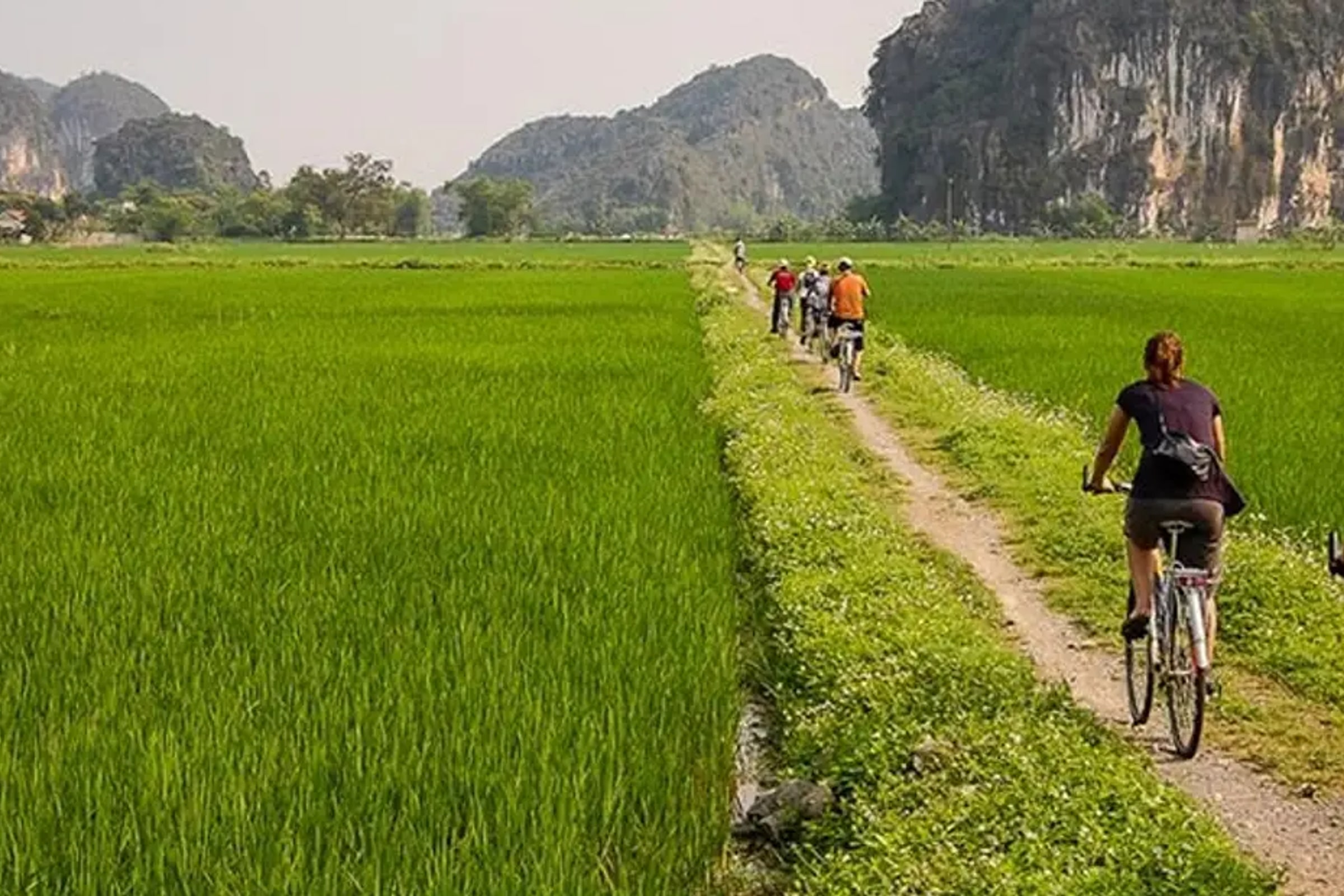 Hoa Lu and Tam Coc Day Tour from Hanoi