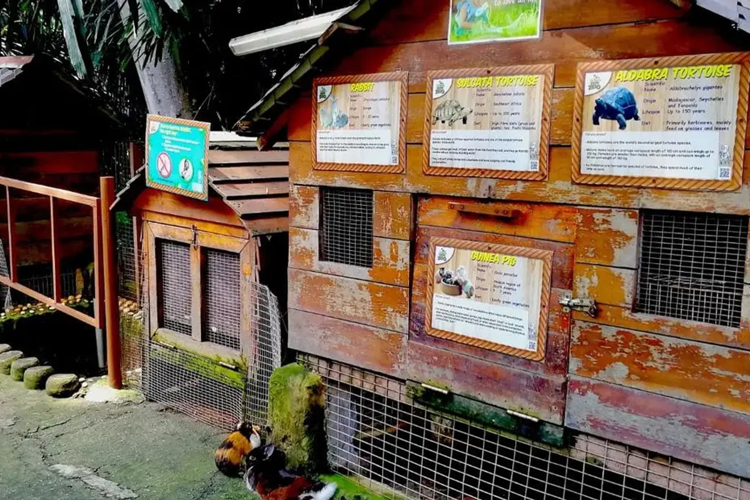 KL Tower Mini Zoo